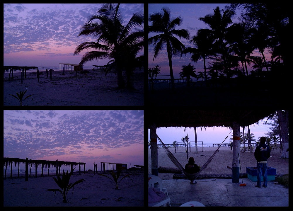 (02) blue dawn montage (day 5 - backup).jpg   (1000x720)   296 Kb                                    Click to display next picture